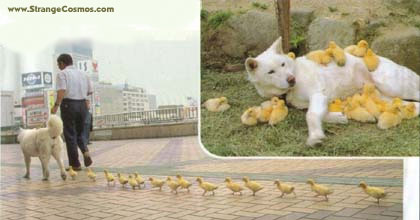 image file name: 2k5e072ddfae.jpg