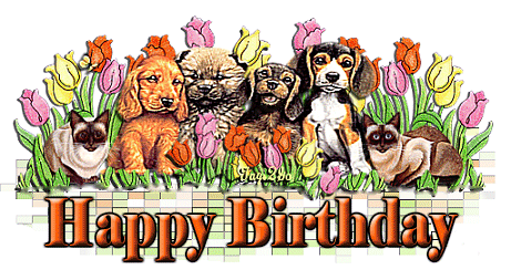 image file name: 2k5fe553d04c.gif