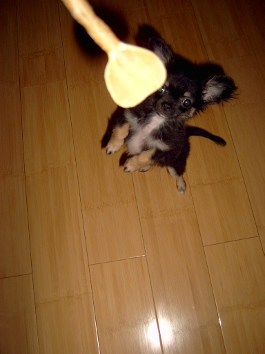 image file name: 2k60199ee8d9.jpg