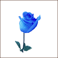 image file name: 2k60464dae3f.gif