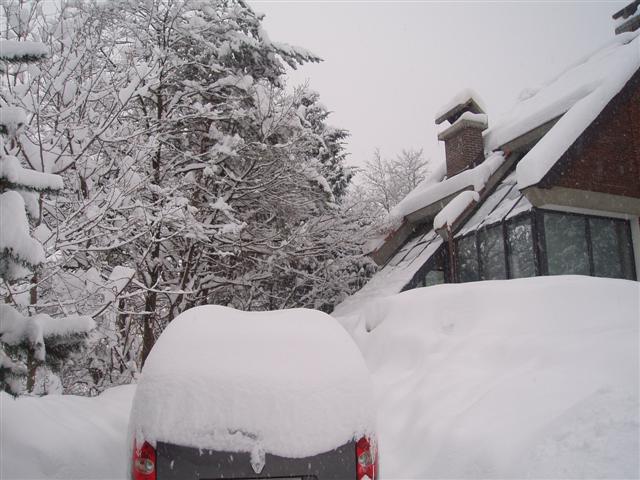 image file name: 2k60a08db847.jpg