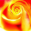 image file name: 2k62f5915c44.gif