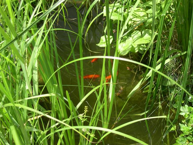 image file name: 2k63fe378312.jpg