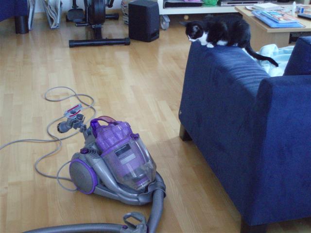 image file name: 2k644e90ead5.jpg