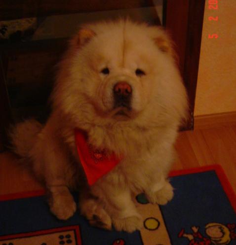 image file name: 2k662e492fd1.jpg