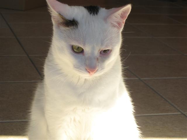 image file name: 2k664c39f9c4.jpg