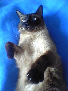 image file name: 2k69b3677f33.jpg