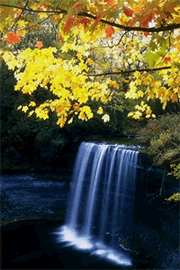 image file name: 2k69cb1cf33f.gif