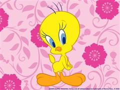image file name: 2k6b3f6f730e.jpg