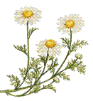 image file name: 2k6d76508789.gif