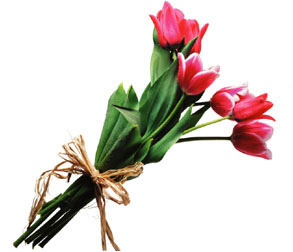 image file name: 2k6eef5e4a8e.jpg