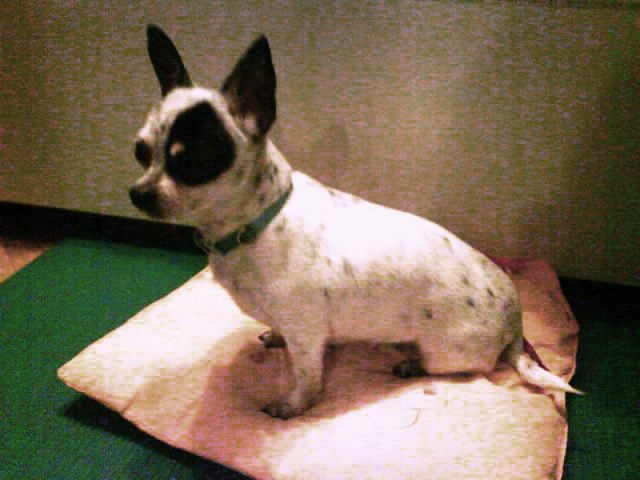image file name: 2k6f60366a5f.jpg
