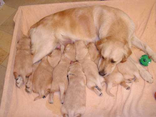 image file name: 2k6fcb961f9c.jpg