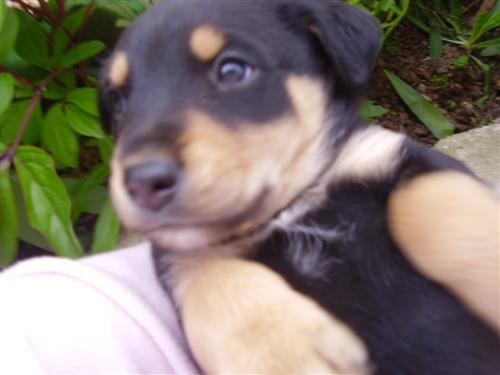 image file name: 2k6febe41df1.jpg