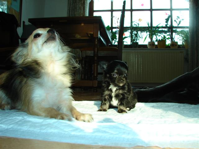 image file name: 2k71786a14f2.jpg
