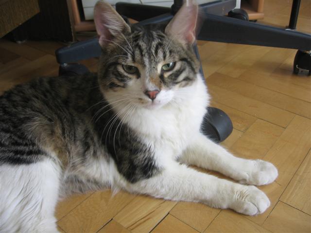 image file name: 2k722015665d.jpg