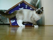 image file name: 2k731af65660.jpg
