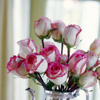 image file name: 2k73b5ef77c9.jpg