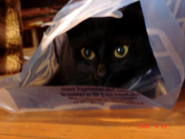 image file name: 2k741fb4fec2.jpg