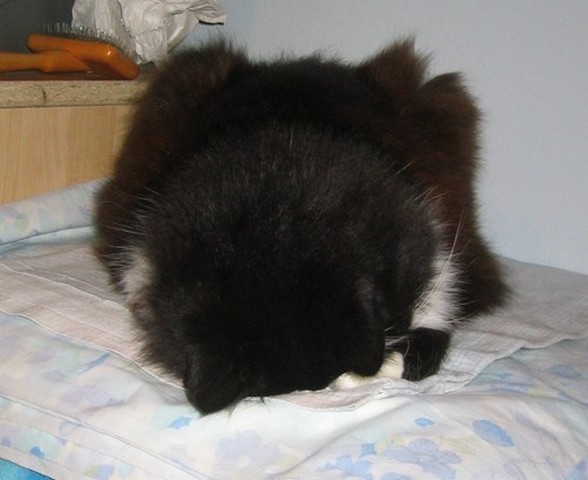 image file name: 2k74917a7653.jpg