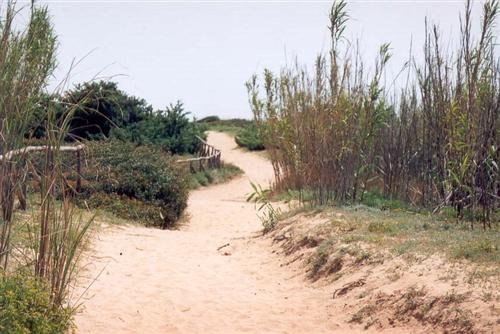 image file name: 2k75307dd6cc.jpg