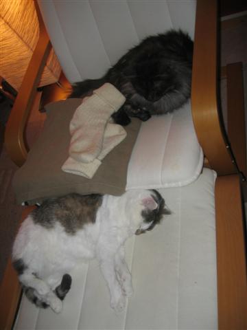 image file name: 2k7588737b07.jpg