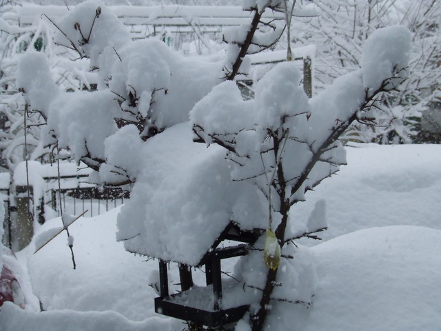 image file name: 2k76698dd60a.jpg