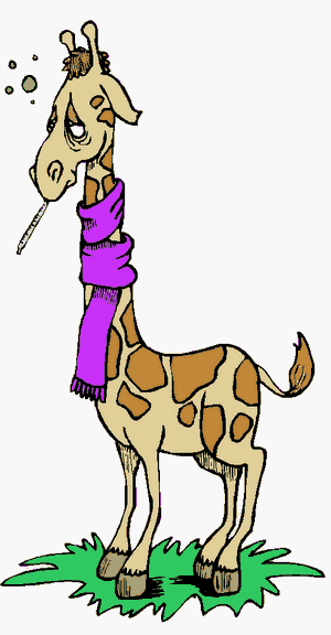 image file name: 2k76b1fb197c.gif