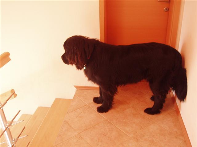 image file name: 2k76caf3147a.jpg