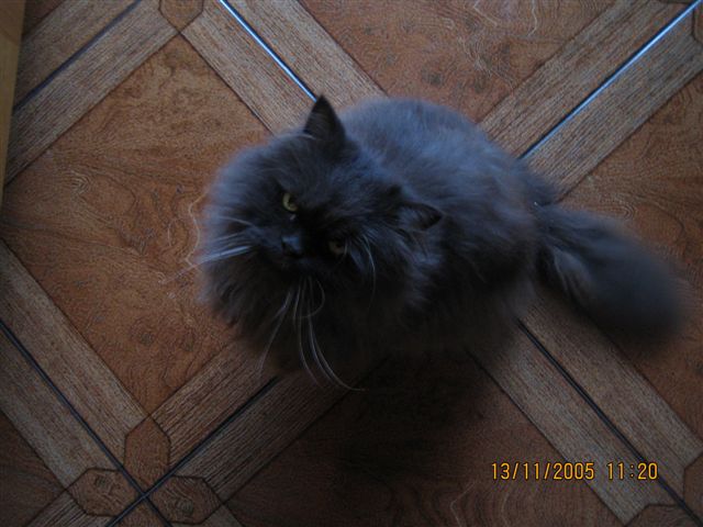 image file name: 2k76cba9dc95.jpg