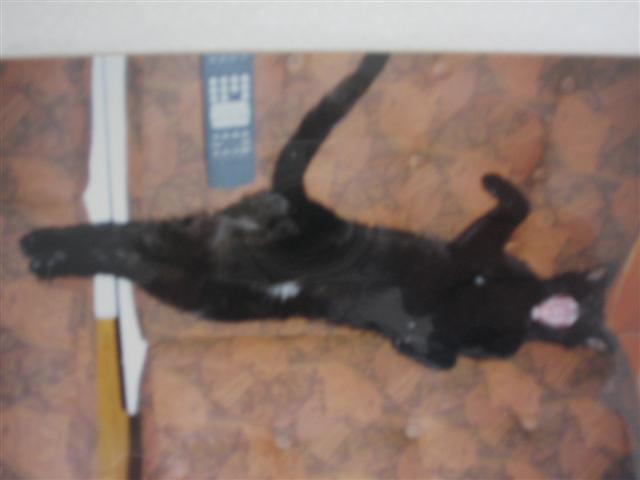 image file name: 2k78f14eeaae.jpg