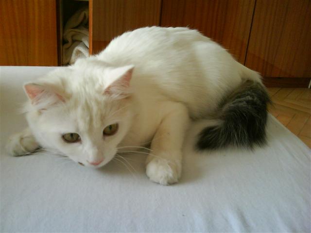 image file name: 2k793b08a38e.jpg