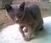 image file name: 2k7a35b90c27.jpg