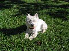 image file name: 2k7a55577b85.jpg