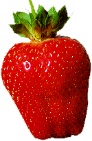 image file name: 2k7a7c3c3255.gif