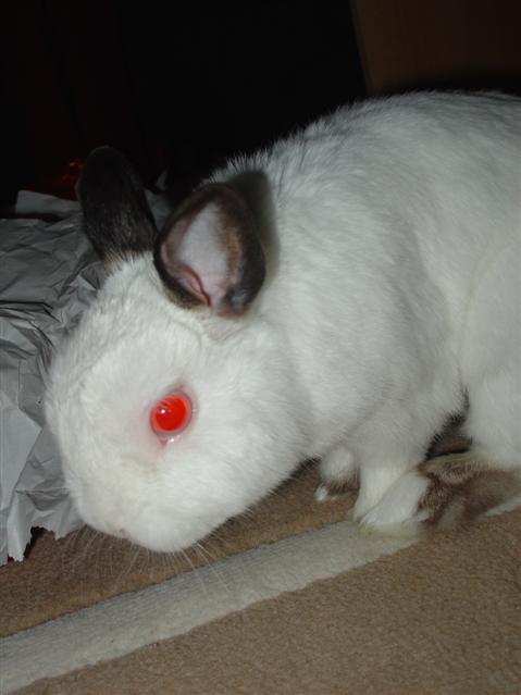 image file name: 2k7bc83973d8.jpg