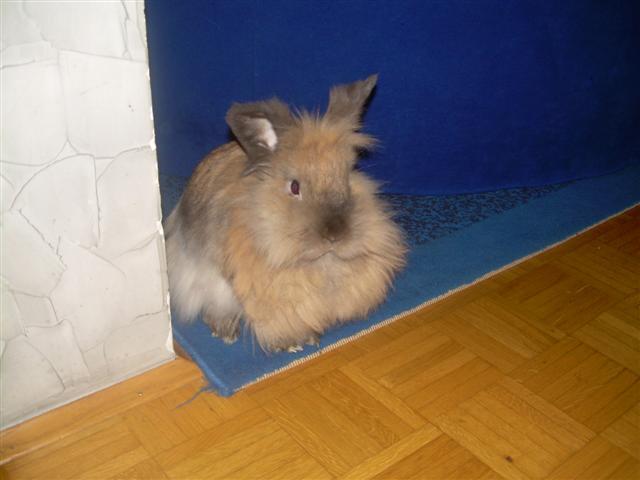 image file name: 2k7cc5f932eb.jpg
