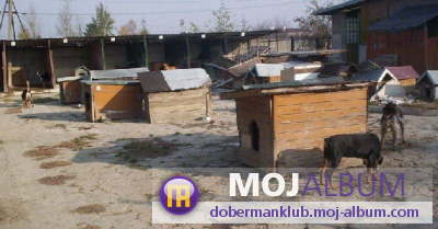image file name: 2k7d0e7eb36b.jpg