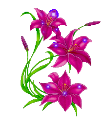 image file name: 2k7f284e535d.gif