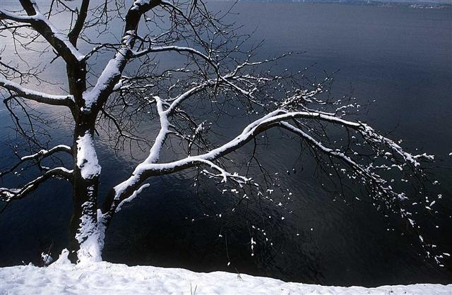 image file name: 2k80d14d95f9.jpg
