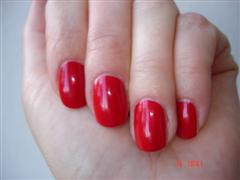 image file name: 2k8117389513.jpg