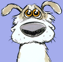 image file name: 2k81cee282da.gif