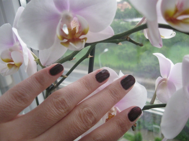 image file name: 2k821d502ead.jpg
