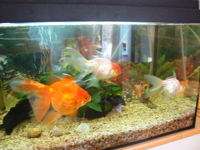 image file name: 2k822269ecb2.jpg