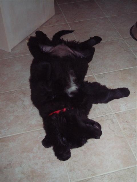image file name: 2k82885f38c0.jpg