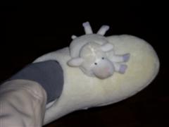 image file name: 2k8298275994.jpg