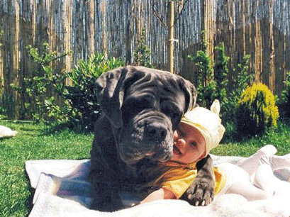 image file name: 2k83994d253e.gif