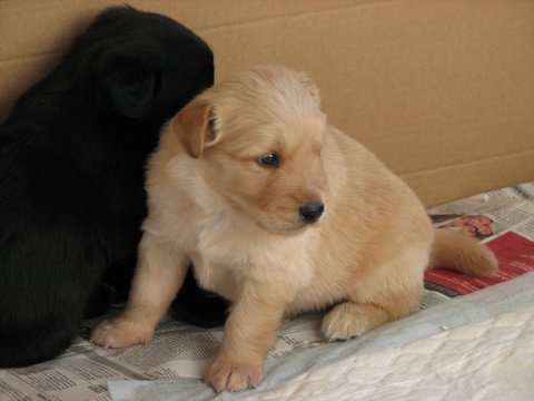 image file name: 2k841e5afcbb.jpg