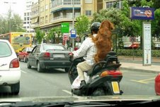 image file name: 2k842d386f7e.jpg