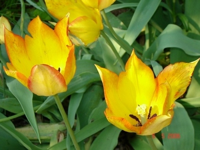 image file name: 2k859630f04e.jpg